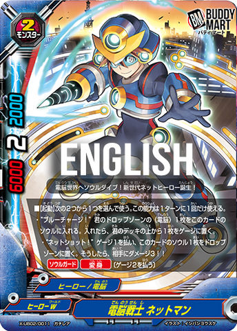 Computer warrior, Netman (RR)
