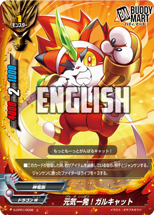 Energy Shot! Garcat (U)